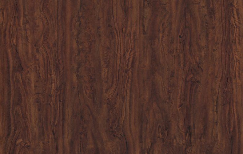 3811 Coast Redwood