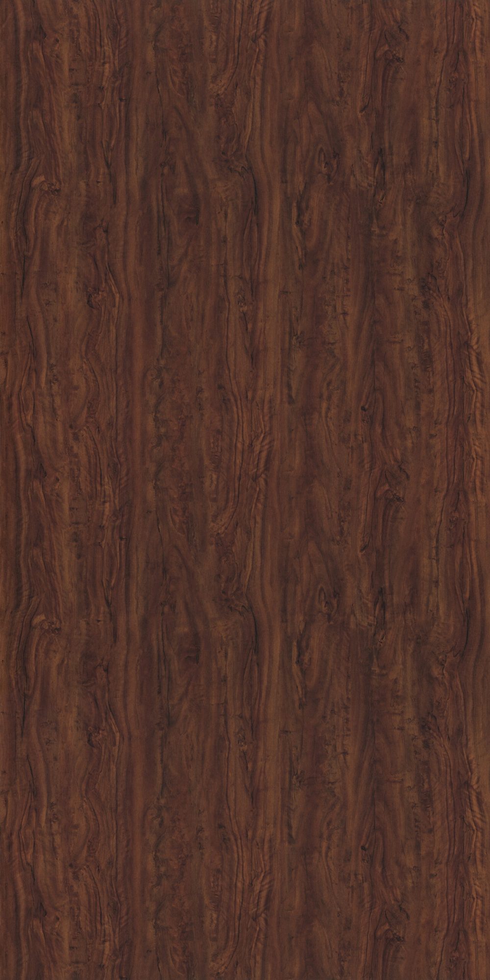 4010 Coast Redwood