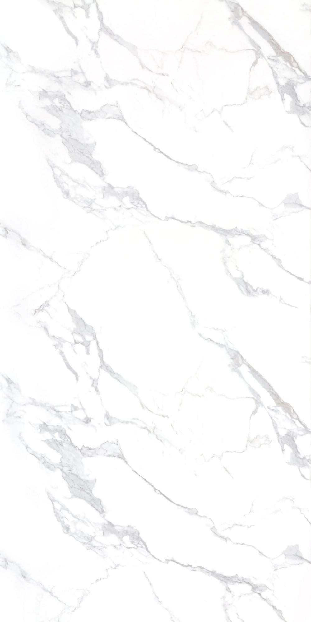6020 Calacatta Marble