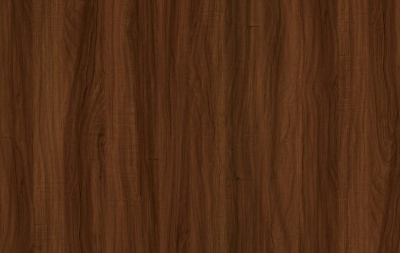 3813 Brocelande Wood
