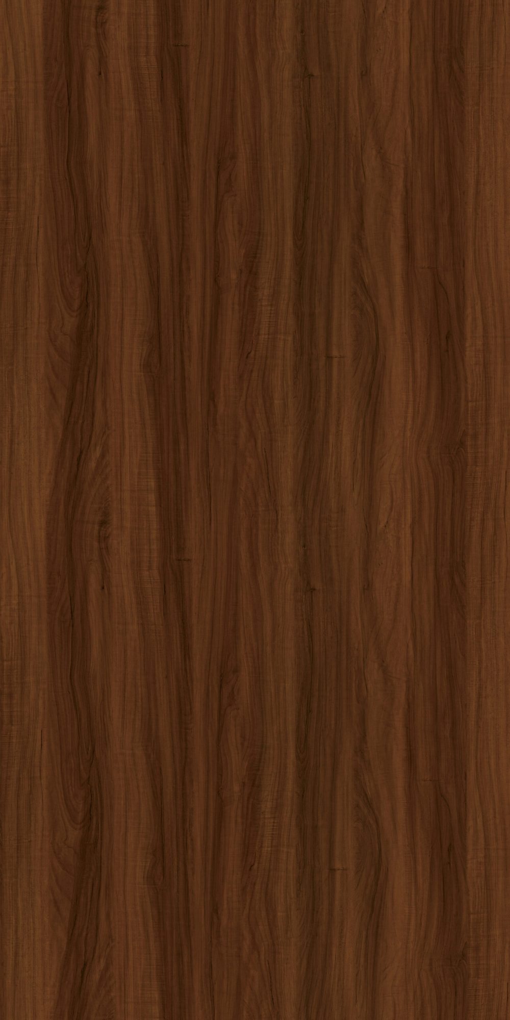 7055 Brocelande Wood
