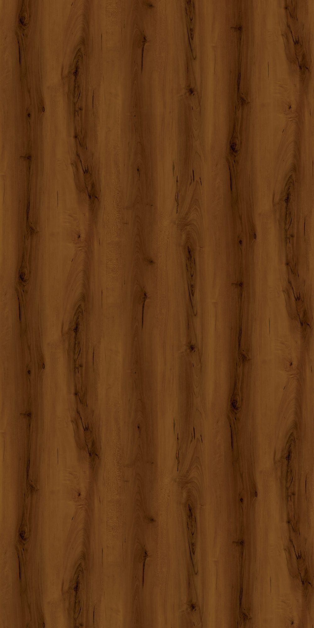 7060 Maple Beech